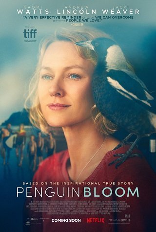 ดูหนังออนไลน์ฟรี Penguin Bloom | Netflix (2020) เพนกวิน บลูม