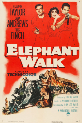 ดูหนังออนไลน์ฟรี Elephant Walk (1953)