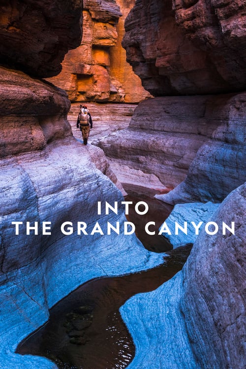 ดูหนังออนไลน์ฟรี Into the Canyon (2019)