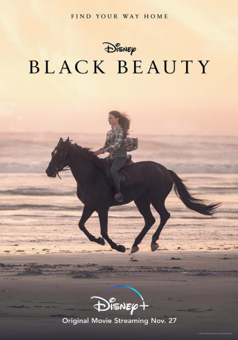ดูหนังออนไลน์ฟรี Black Beauty (2020) แบล็คบิวตี้