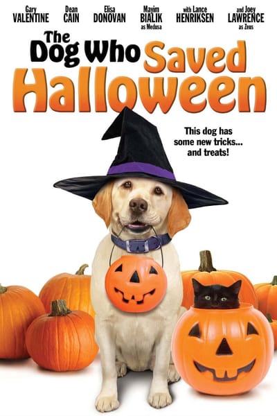 ดูหนังออนไลน์ฟรี The Dog Who Saved Halloween (2011) บิ๊กโฮ่ง ซูเปอร์หมา ป่วนฮาโลวีน
