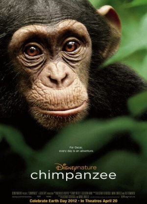 ดูหนังออนไลน์ฟรี Chimpanzee (2012) ชิมแปนซี ผจญภัยในป่ากว้าง