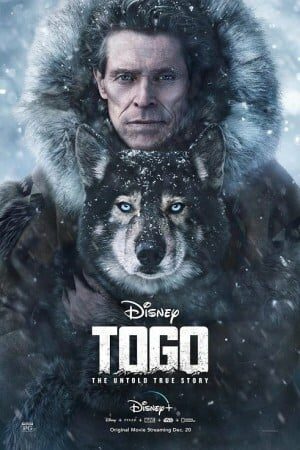 ดูหนังออนไลน์ฟรี ดูหนัง Togo (2019) – โทโก | ซับไทย เต็มเรื่อง