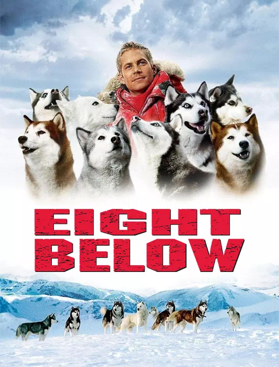 ดูหนังออนไลน์ฟรี ดูหนังใหม่ Eight Below ปฏิบัติการ 8 พันธุ์อึดสุดขั้วโลก (2006)